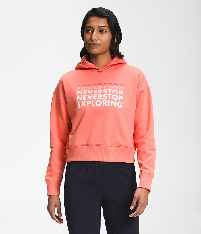 The North Face Hoodie Dames Logo Play PEYO35642 - Oranje